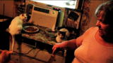 Confessions: Animal Hoarding: Sharon