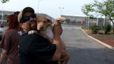 Pit Bulls and Parolees: Odd Story of Survival