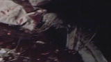 Lost Tapes: 2. Don't Go In the Basement
