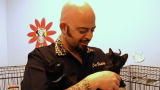 My Cat From Hell: What's in Store