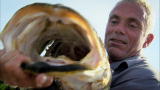 River Monsters: Hungry Nile Perch