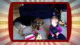 Puppies vs. Babies: Bubbly Baby Belly Laughing