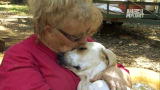 Confessions: Animal Hoarding: 82 Dogs and a Worried Family