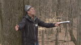 Meet the Treehouse Masters Cast