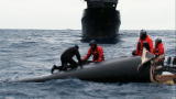 Whale Wars: Salvaging the Ady Gil