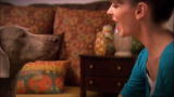 play video on Animal Planet