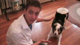 The Zak George Project: Teaching a Dog to Bow