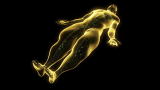 Monsters Inside Me: Parasite Causes Elephantiasis