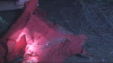 Lost Tapes : Tale Written In Blood