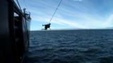 Whale Wars: Sea Shepherd Rope Swing!
