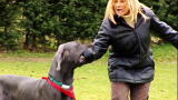 It's Me or the Dog: Mouthy Dogs