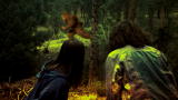 Finding Bigfoot: Colorado Bigfoot Witness