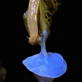 Weird True & Freaky: Leopard Slug Mating