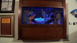 Tanked: Favorite Tanks: Surprise Tank for Wayde