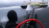Whale Wars: Butyric Acid in the Morning