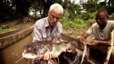 River Monsters: Killer Congo Catfish