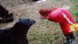 Fatal Attractions: Don't Feed the Bears