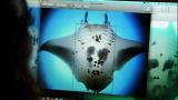 Mutual of Omaha's Wild Kingdom: Manta Ray Fingerprints