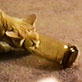 Planet's Funniest Animals: Cat in Cup