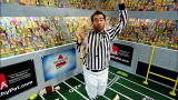 Puppy Bowl VI: Puppy Touchdown