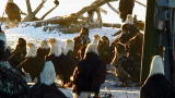 Weird, True & Freaky: Bald Eagle Invasion