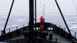 APL Top 25 of All Time: Whale Wars, The Sound of Ice