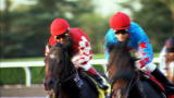 Jockeys: Jockeys Season 2 Sneak Peek