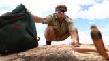 APL Top 25 of All Time: The Crocodile Hunter, Spitting Cobras of the World