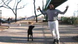 Puppy Bowl VII: Dog Park Warm Up
