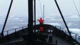 Whale Wars: Navigating an Ice Field