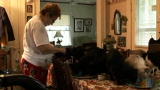Confessions: Animal Hoarding: Cats as Therapy