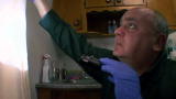 Rat Busters NYC: Bed Bug Boogie