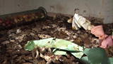 Confessions: Animal Hoarding: Mike
