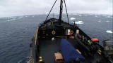 Whale Wars: Shaking a Spy Ship