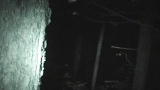 Finding Bigfoot: Caught on Camera in Kentucky