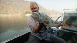 River Monsters: Croc-Toothed Fish in the Zambezi