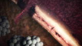 Killer Outbreaks: Hantavirus