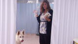 Untold Stories of the E.R. (Season 6): Man's Best Friend