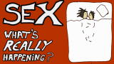 Having Sex
