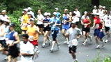 Sex Change Hospital: Gay Lesbian Marathon