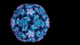 Diseases: Cold & Flu Basics