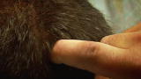 Bizarre ER (Season 1): Hole in the Head