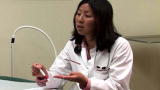Truth About Insulin: Truth About Insulin Part 4