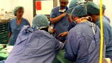 A Baby To Save Our Son: Jamie Is Born