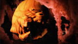 Monsters Inside Me: Baylisascaris