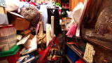 Hoarding - Buried Alive: The Effects On Family