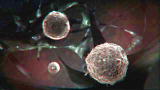 Monsters Inside Me: Parasites from Contacts