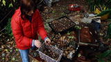 My Strange Addiction: Rock Addict