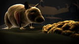 Monsters Inside Me: Toxoplasmosis