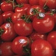 Fit Nation - Barefit: Top Five Nutrients for Pregnant Women